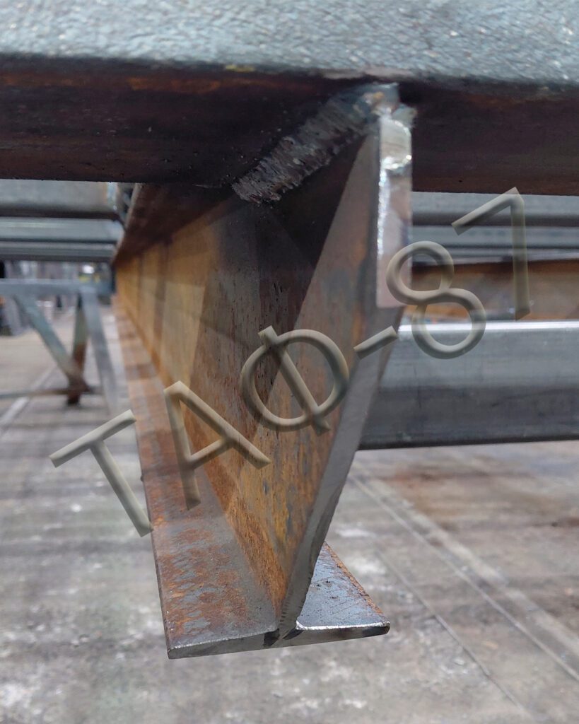 Мультиліфт платформа з кониками